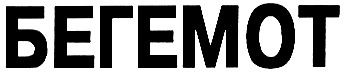 Бегемот